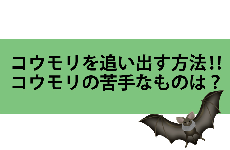 コウモリを追い出す方法。コウモリの苦手なものは？