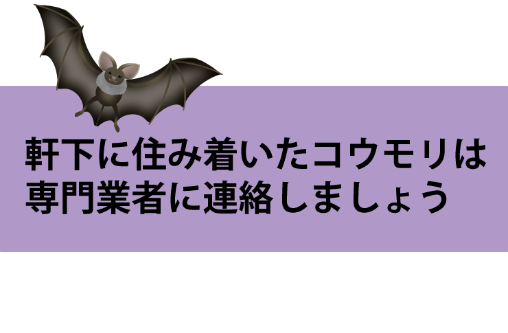 専門業者に連絡しましょう