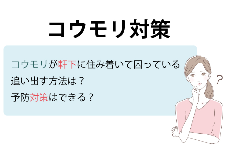 コウモリ対策★コウモリが軒下に住み着いて困っている！追い出す方法は？予防対策はできる？