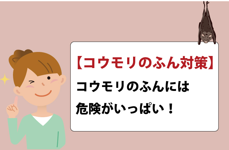 コウモリのふん対策！コウモリのふんには危険がいっぱい