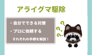 【すぐに退治】アライグマの駆除ってどんなものがあるの？自分でできる簡単な駆除方法を詳しく解説！害獣駆除業者に依頼した方がいいケースも紹介