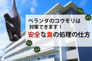 【コウモリの糞】ベランダのコウモリの糞は対策できます！安全な糞の対処の仕方