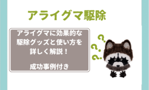 【保存版】これで厄介なアライグマも退治！個人で使えるおすすめ駆除グッズと使い方を詳しく紹介します～成功率を上げるコツ付き～