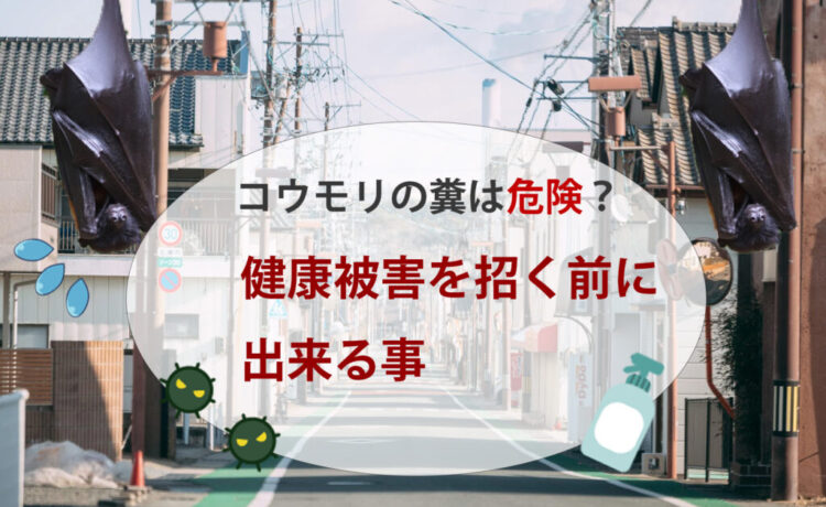 【徹底対策】コウモリの糞は危険？健康被害を招く前に出来る事