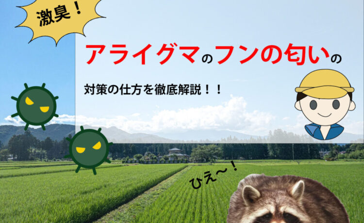 激臭！アライグマのフンの匂いの対策の仕方を徹底解説！