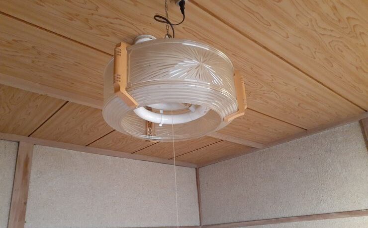 アライグマ 屋根裏