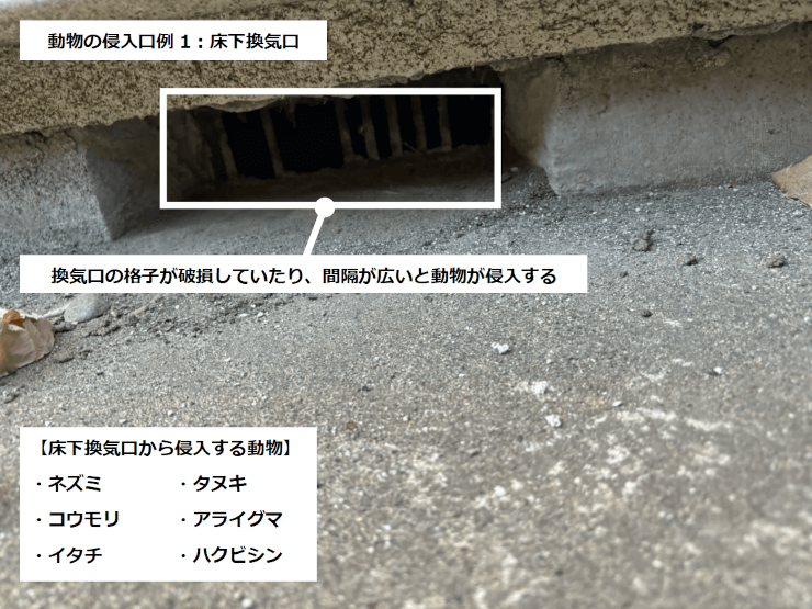 動物の侵入口例1：床下換気口