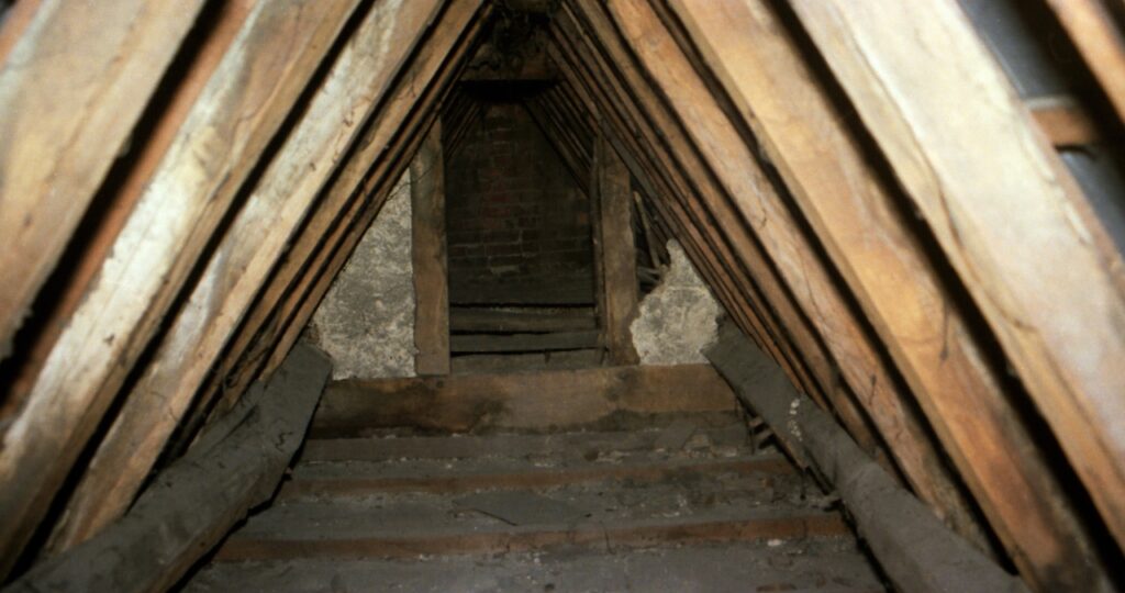 イタチが住み着きやすい場所、屋根や軒下