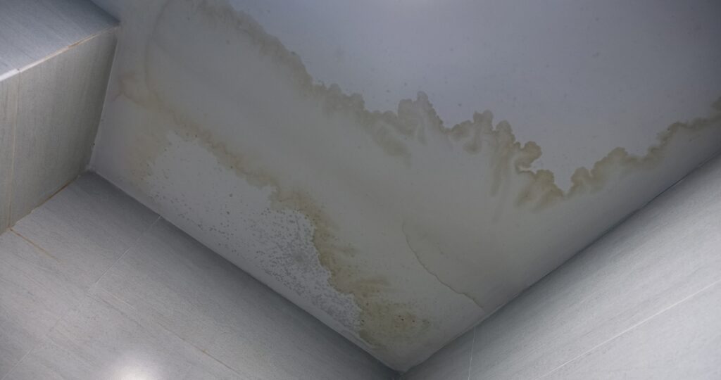 害獣が住むとみられる屋根、シミができている様子