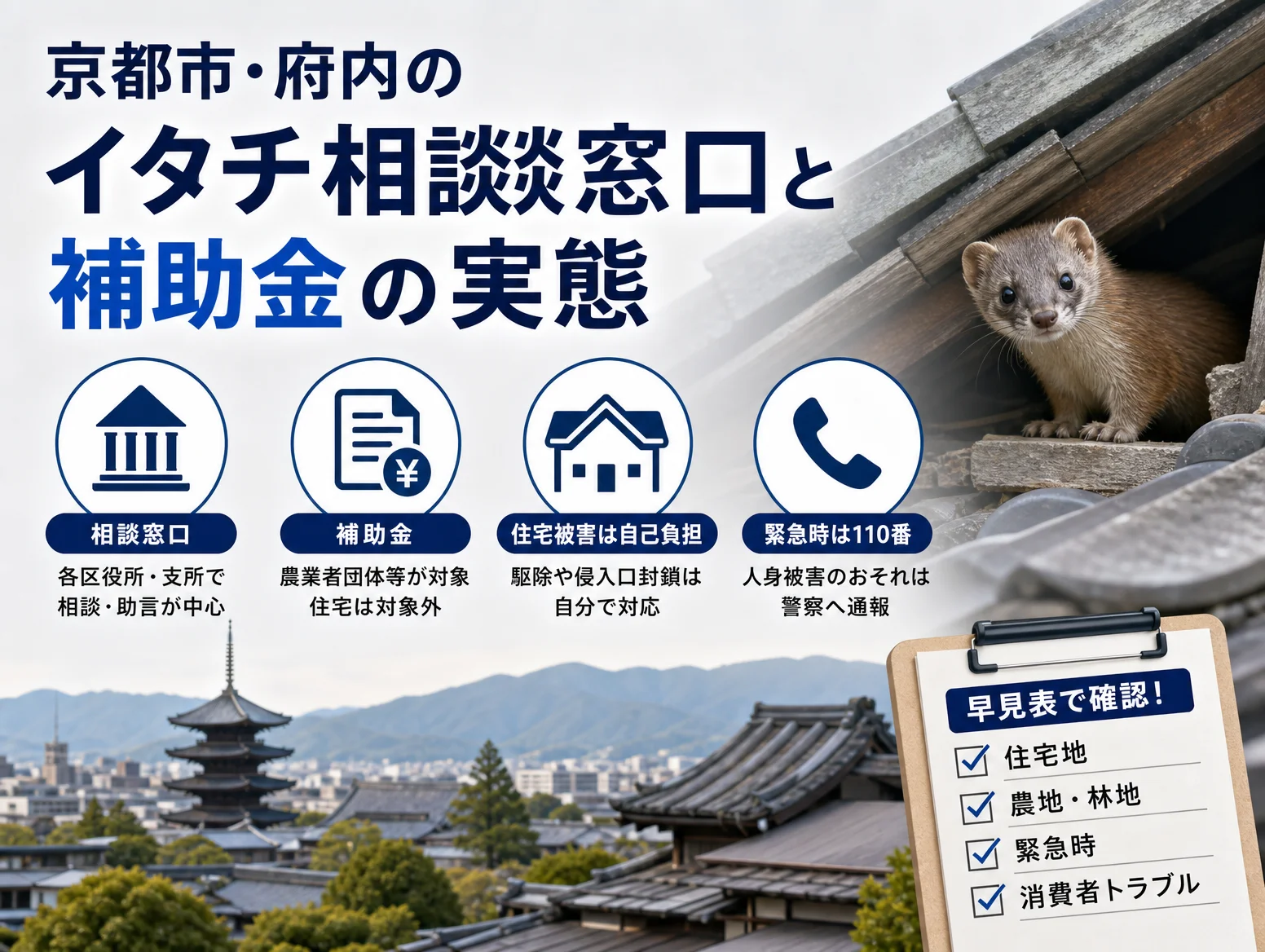 6. 京都市・府内のイタチ相談窓口と補助金の実態