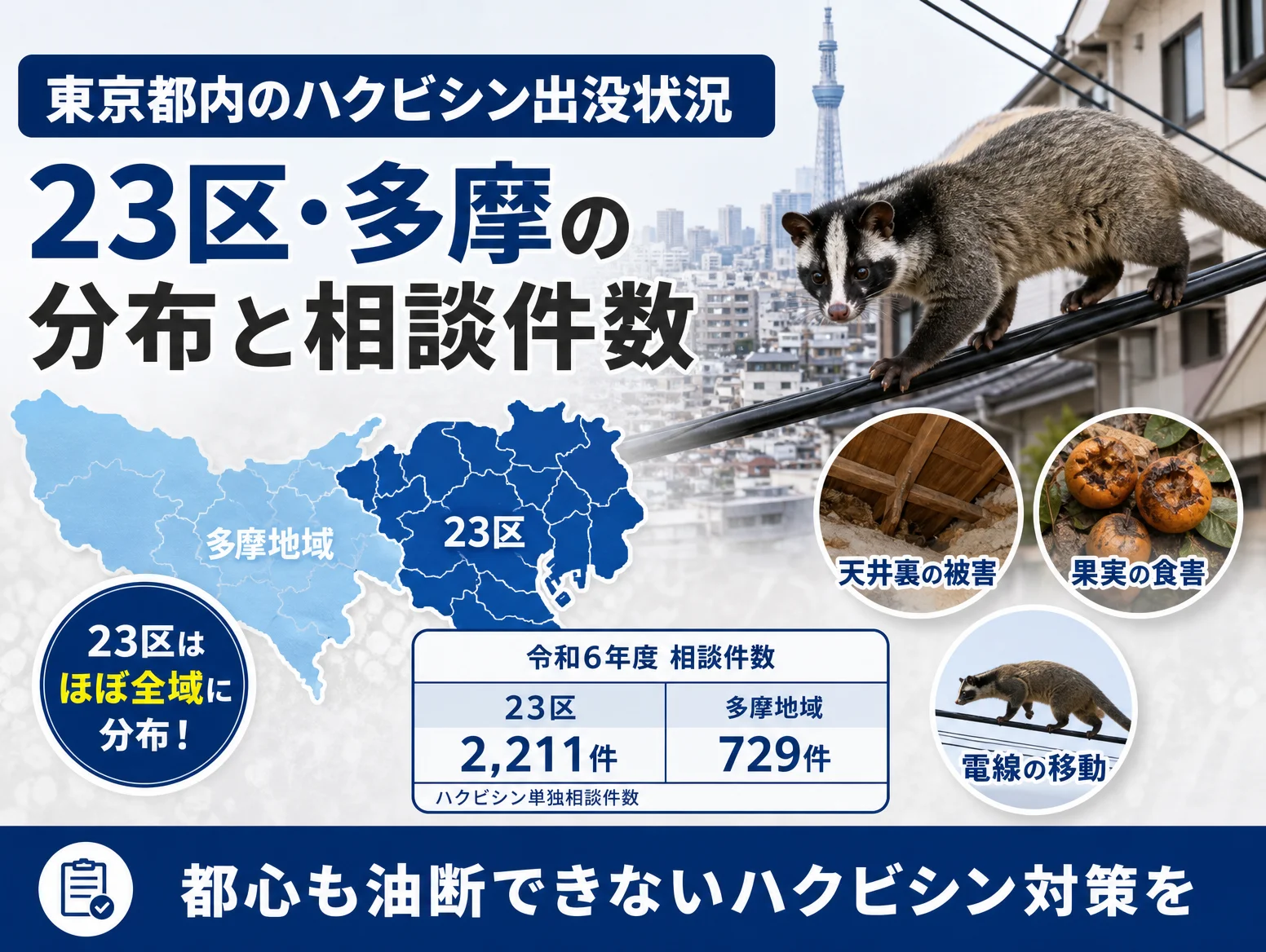 1. 東京都内のハクビシン出没状況｜23区・多摩の分布と相談件数