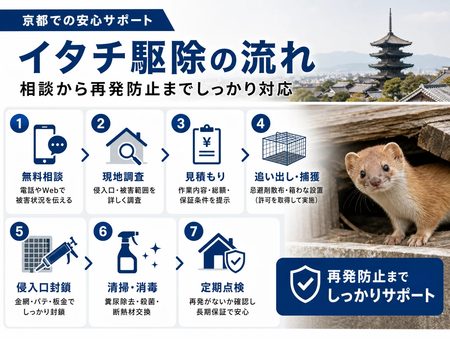 7. 京都でのイタチ駆除を依頼する流れ｜相談から再発防止まで