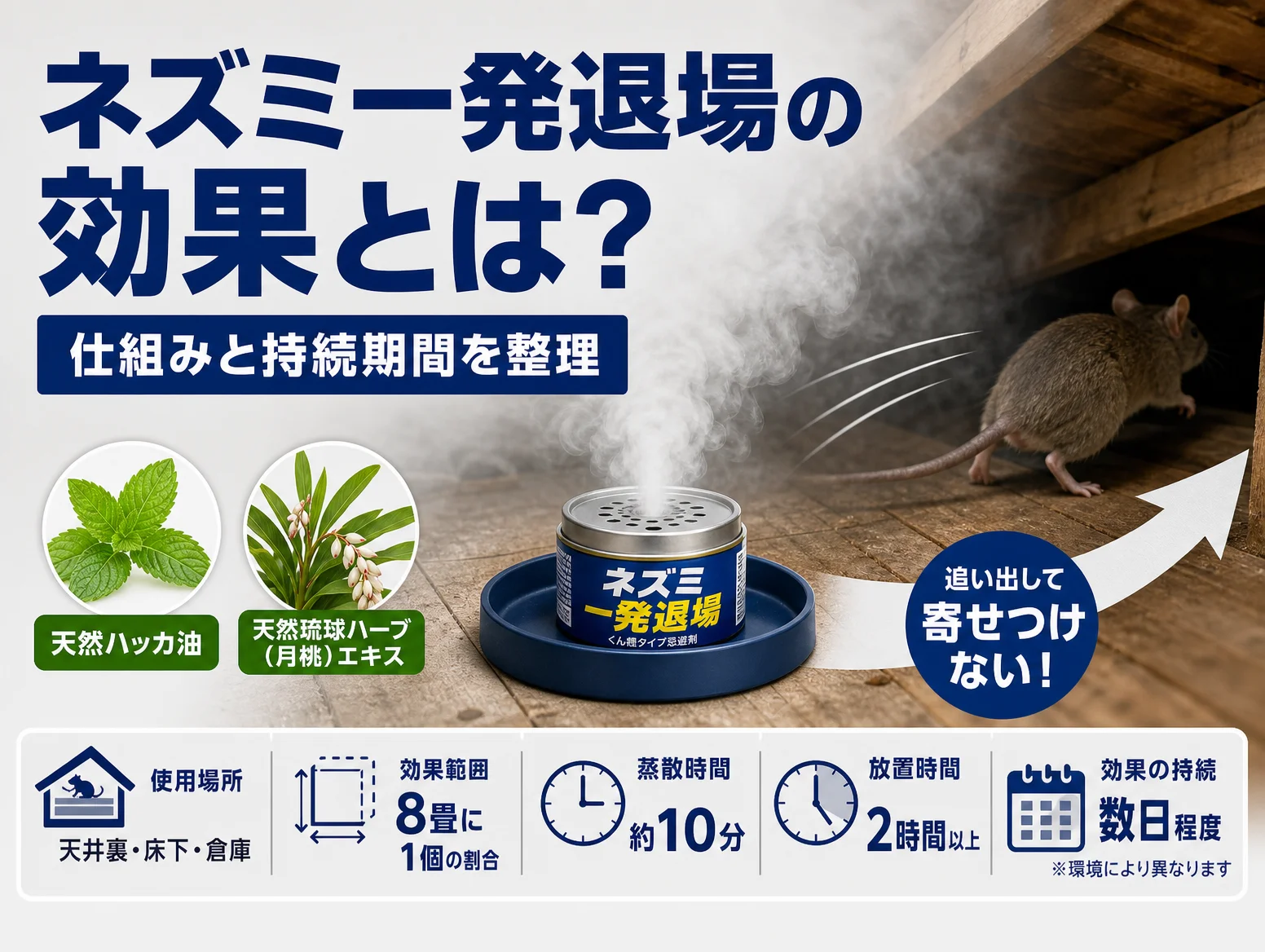 1. ネズミ一発退場の効果とは?仕組みと持続期間を整理