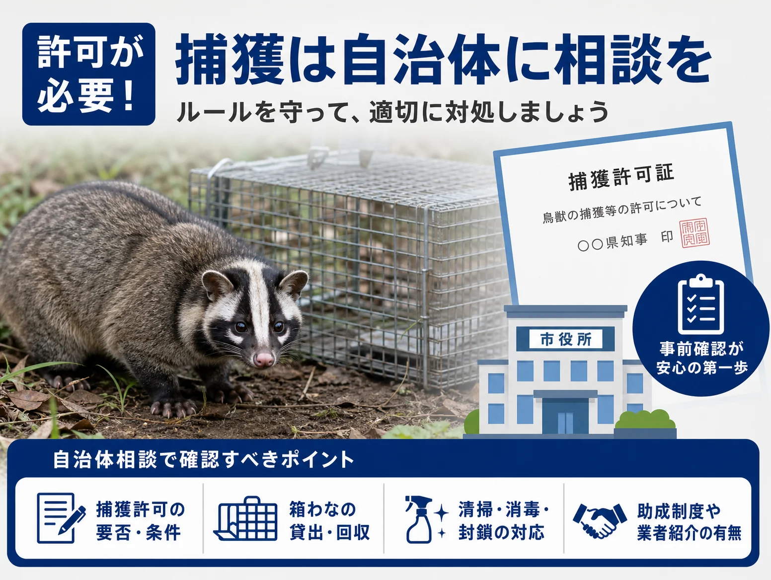 6. 捕獲には許可が必要：自治体相談で確認すべきこと