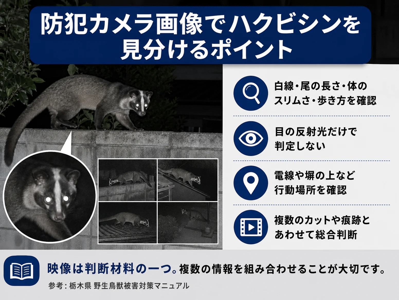 5. 夜間・防犯カメラ画像でハクビシンを見分ける注意点