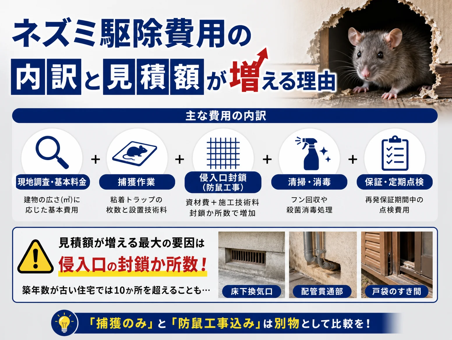 3. ネズミ駆除費用の内訳と見積額が増える理由