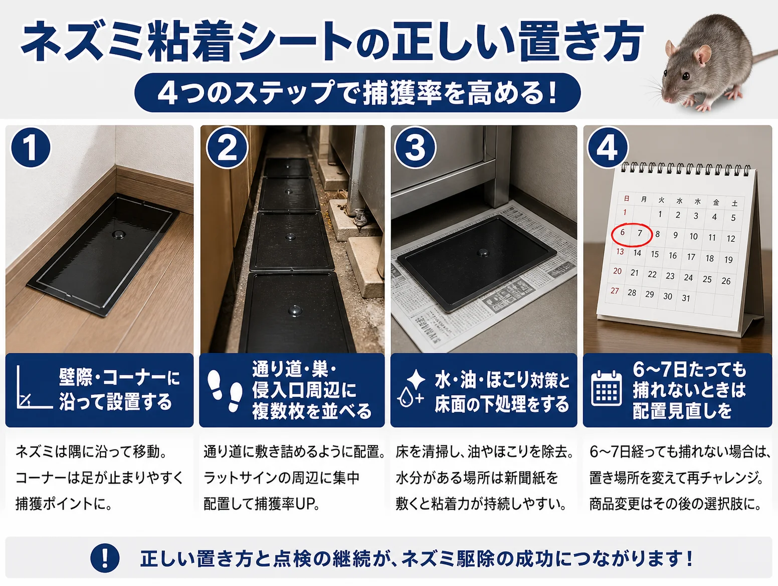 2. 逃がさない粘着シートの正しい置き方【ステップ手順】