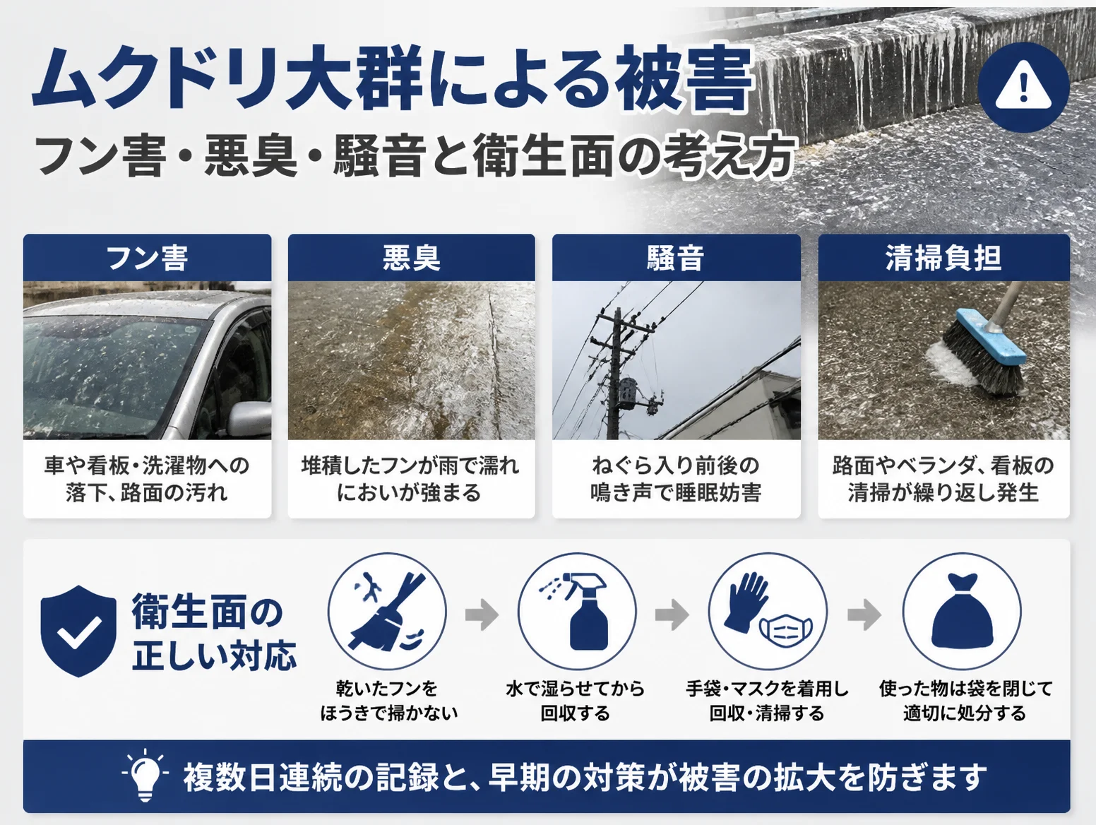 4. ムクドリ大群による被害|フン害・悪臭・騒音と衛生面の考え方