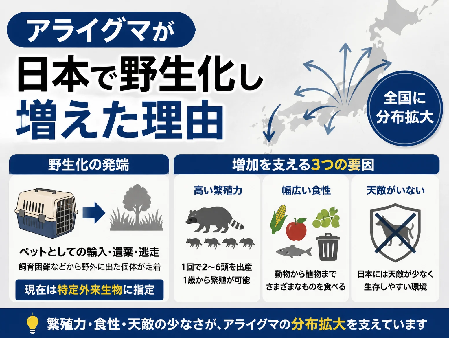 5. アライグマが日本で野生化し増えた理由