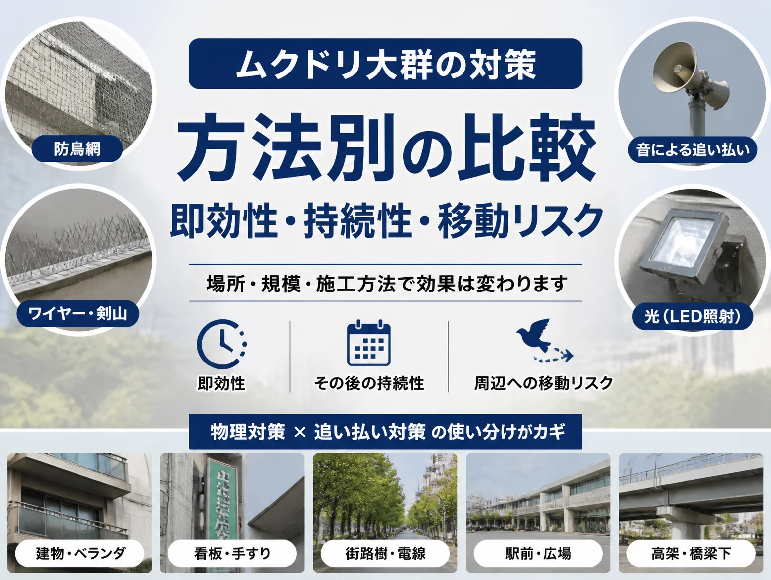6. ムクドリ大群の対策|方法別の即効性・持続性・移動リスクを比較