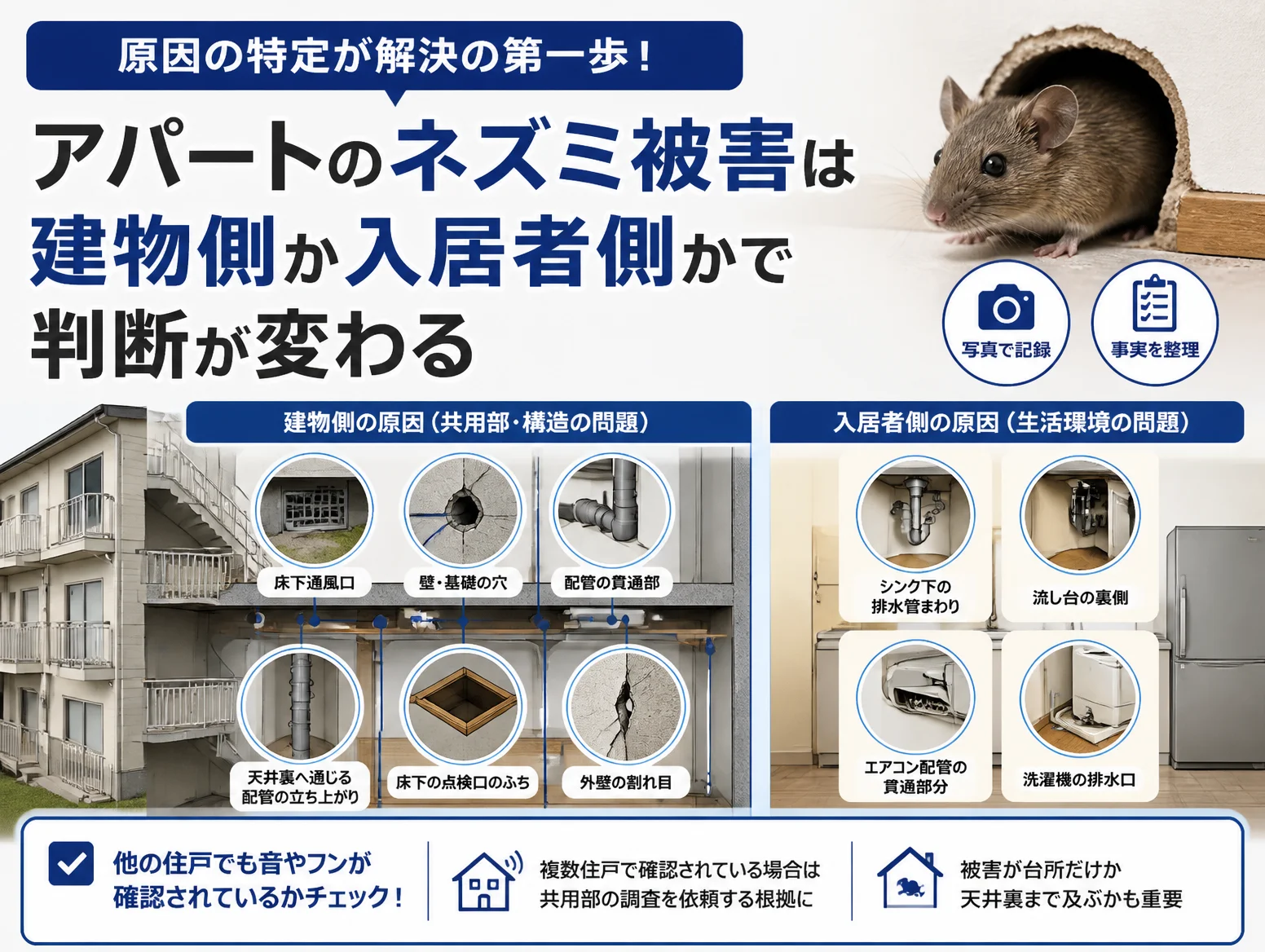 2. アパートのネズミ被害は建物側の原因か入居者側の原因かで判断が変わる