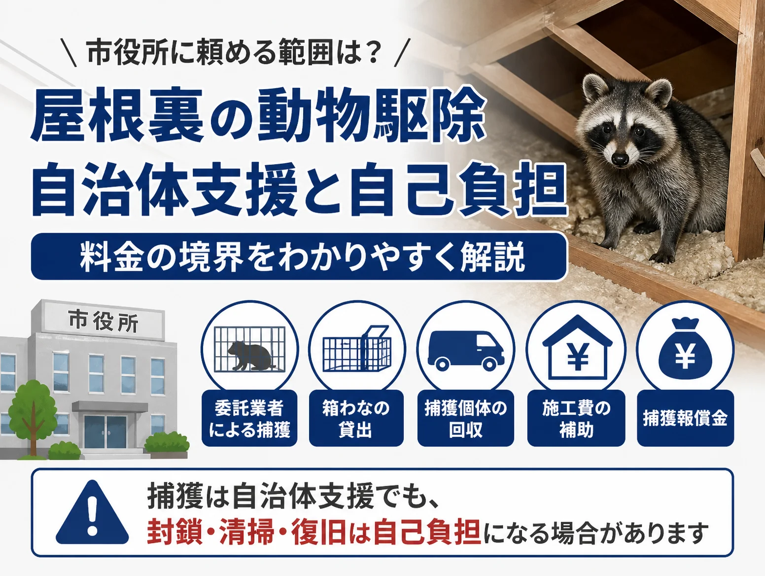 屋根裏で断熱材の上に立つアライグマの写真と市役所庁舎のイラストを配し、委託業者による捕獲、箱わなの貸出、捕獲個体の回収、施工費の補助、捕獲報償金の5類型を並べ、封鎖・清掃・復旧は自己負担になる場合があると示した屋根裏 動物 駆除料金の解説図
