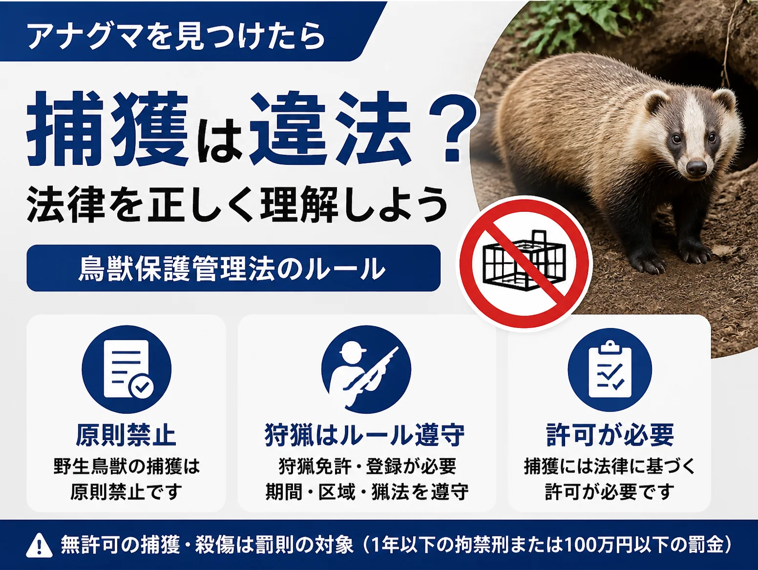 巣穴前のアナグマの写真と捕獲禁止マークを配し、アナグマを見つけたら捕獲は違法かを解説する図解で、鳥獣保護管理法の原則禁止、狩猟免許と登録や期間区域猟法の遵守、許可の必要性、罰則を三つのアイコンで示している