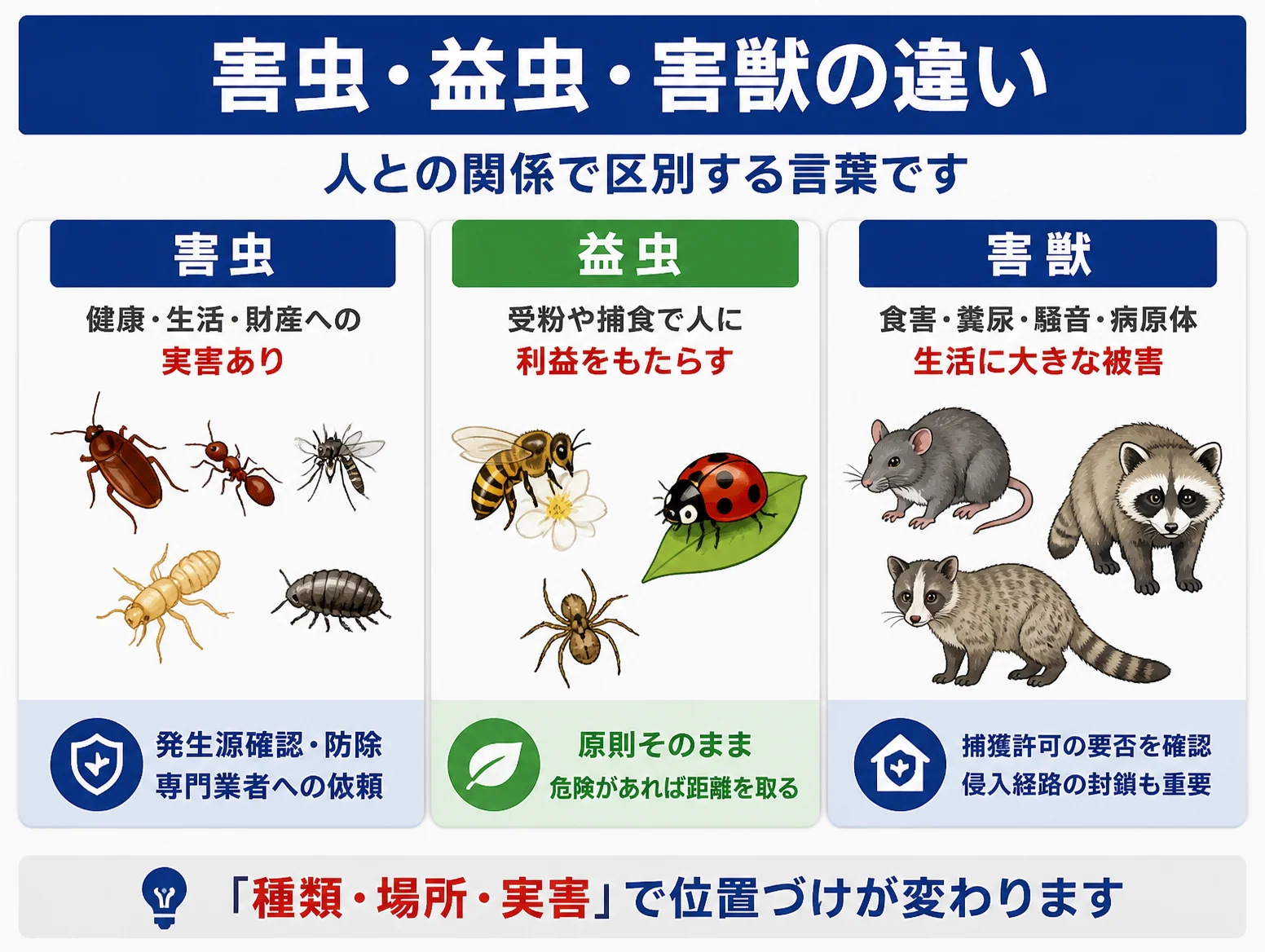 害虫とは何かを人との関係で示した比較図で、ゴキブリやアリ、蚊、シロアリなど実害ある害虫、ミツバチやテントウムシ、クモなど利益をもたらす益虫、ネズミやアライグマ、ハクビシンなど生活被害を与える害獣を三列に分け対処法も併記