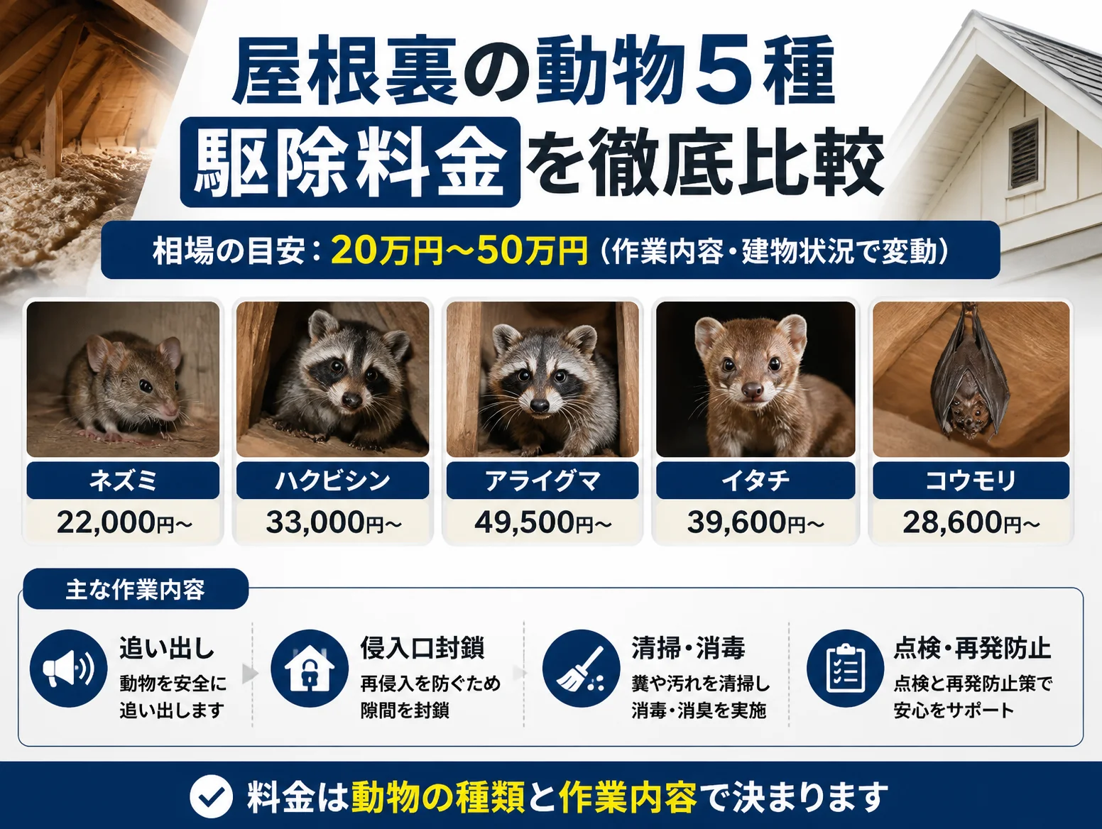 屋根裏の動物駆除料金を比較したインフォグラフィックで、ネズミ22,000円からハクビシン33,000円、アライグマ49,500円、イタチ39,600円、コウモリ28,600円までの写真付き最低価格と、追い出し・侵入口封鎖・清掃消毒・点検再発防止の作業