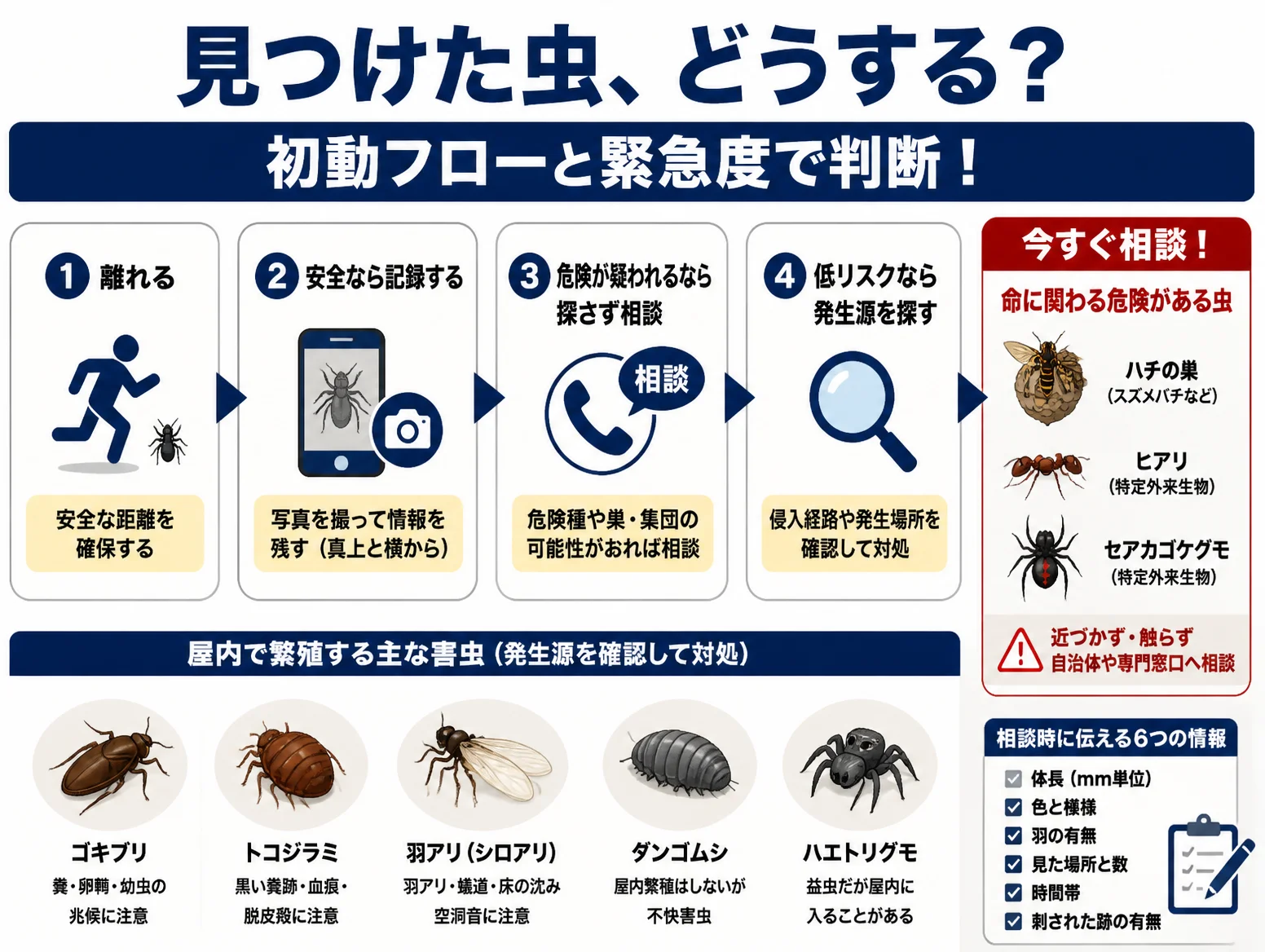 害虫とは何かを判断する初動フロー図で、離れる、記録する、危険が疑われれば相談、低リスクなら発生源を探すの4段階と、ハチの巣やヒアリなど命に関わる虫、ゴキブリやトコジラミなど屋内繁殖する害虫、相談時に伝える6項目を図解