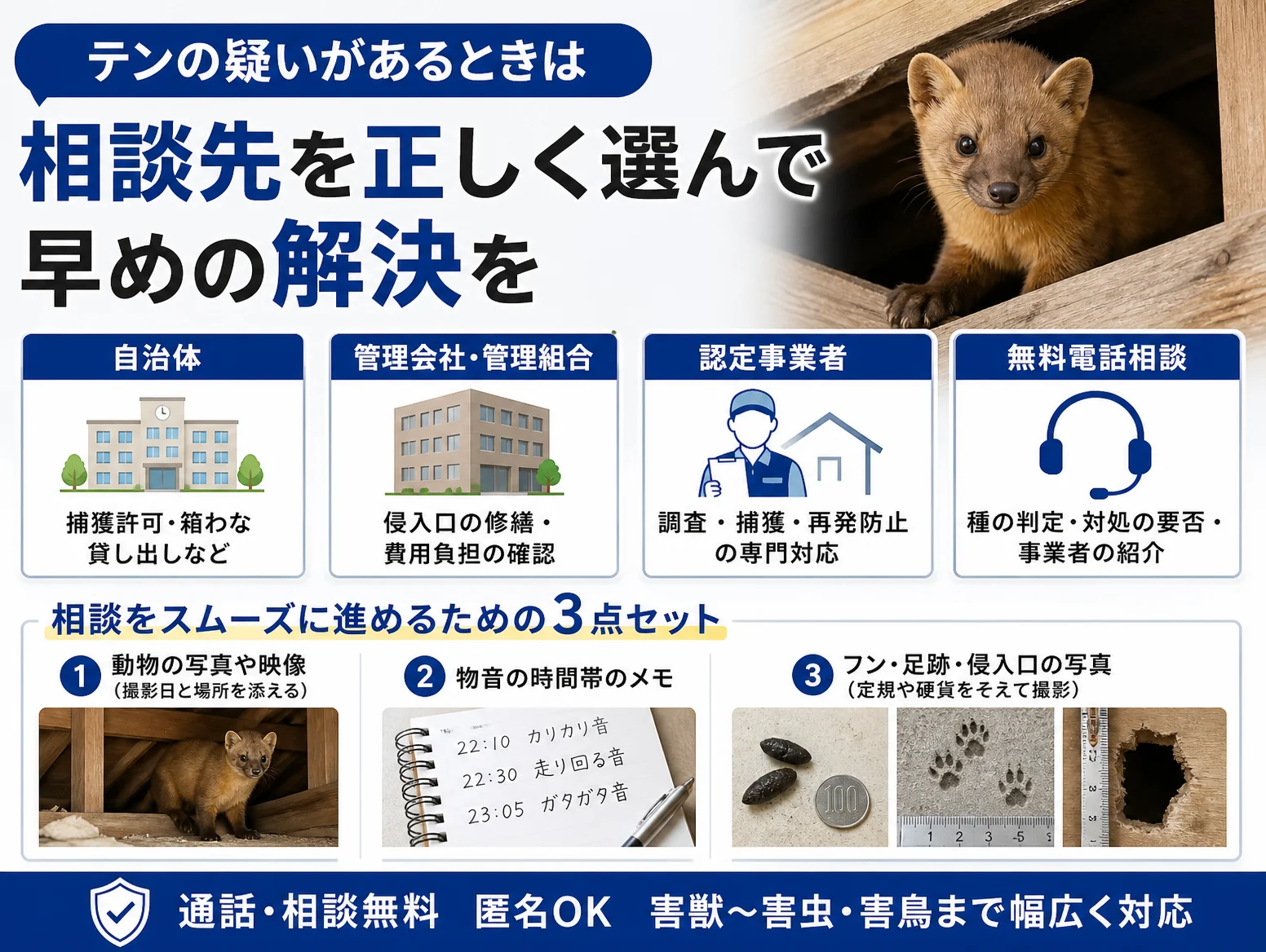 テンの疑いがあるときの相談先を示す図解で、屋根裏から顔を出すテンの写真を添え、自治体、管理会社や管理組合、認定事業者、無料電話相談の四つの窓口と役割を並べ、動物の写真、物音の時間帯メモ、フンや足跡と侵入口の写真という相談準備三点セットを紹介