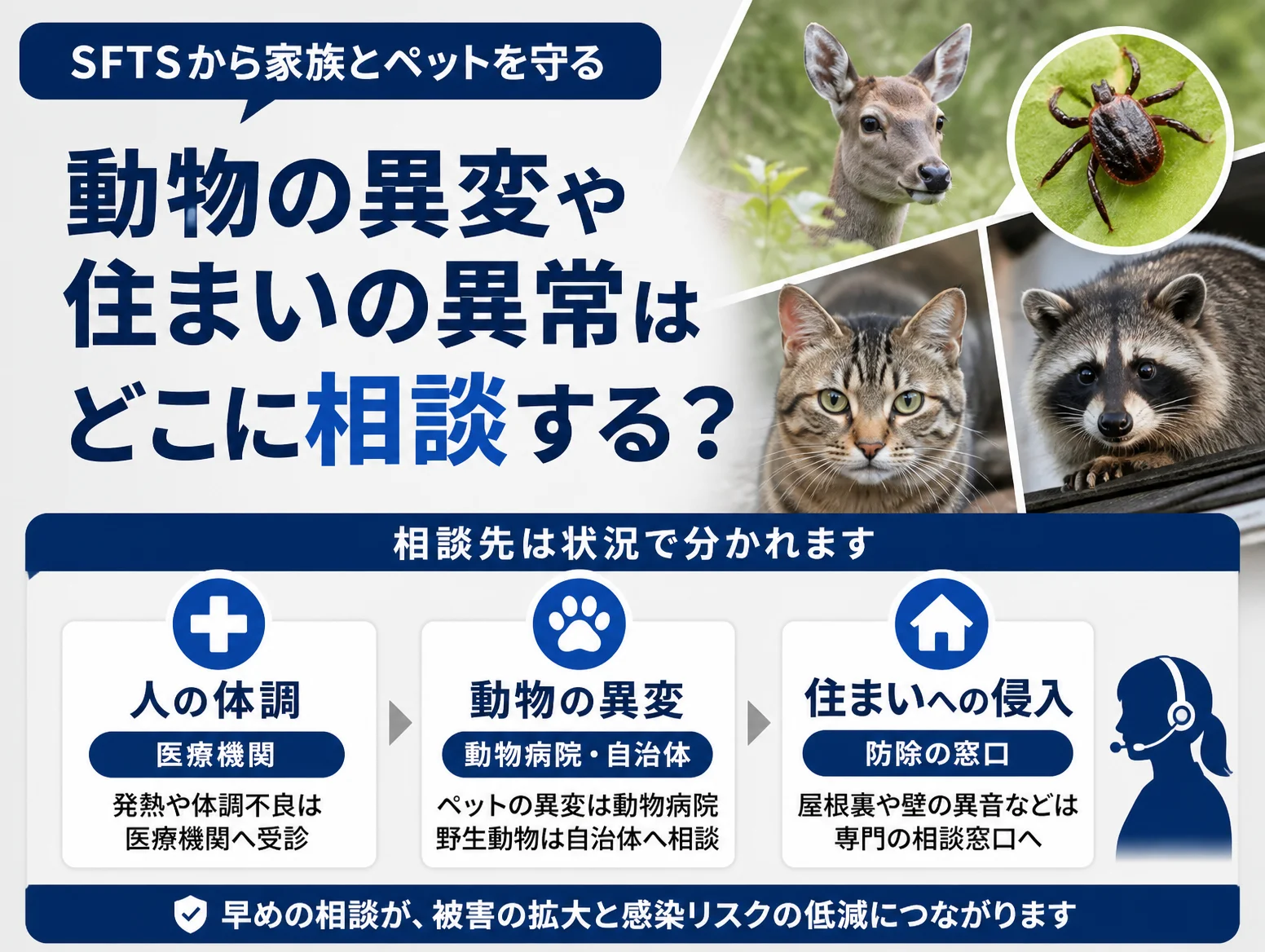 SFTSから家族とペットを守るための相談先を示す図解で、シカ・マダニ・猫・アライグマの写真とともに、人の体調は医療機関、動物の異変は動物病院・自治体、住まいへの侵入は防除の窓口と3つに分けて解説している