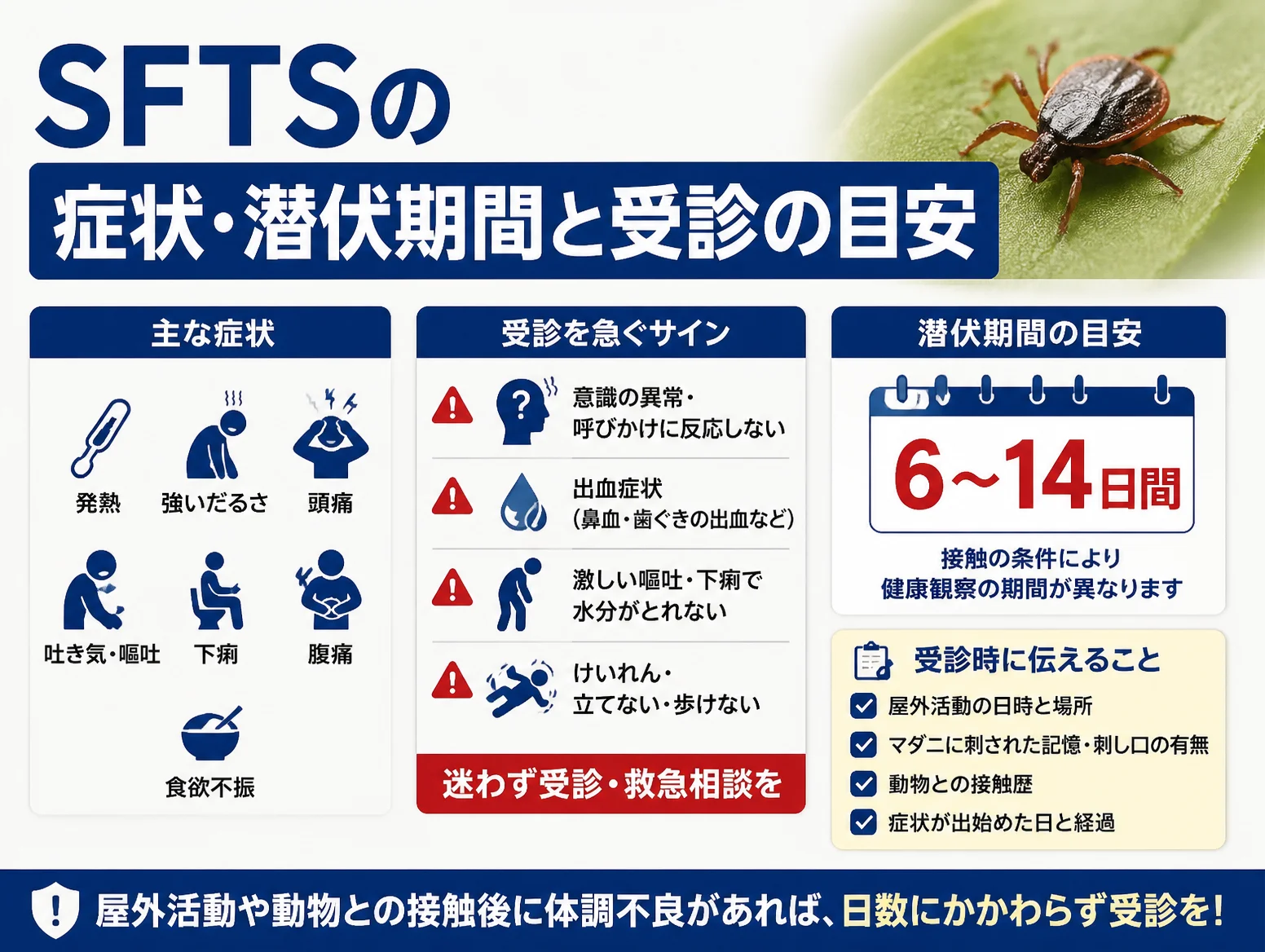 SFTSの主な症状として発熱・強いだるさ・頭痛・嘔吐・下痢・腹痛・食欲不振のアイコン、意識障害や出血など受診を急ぐサイン、潜伏期間6〜14日間、受診時に伝える事項をまとめた図解