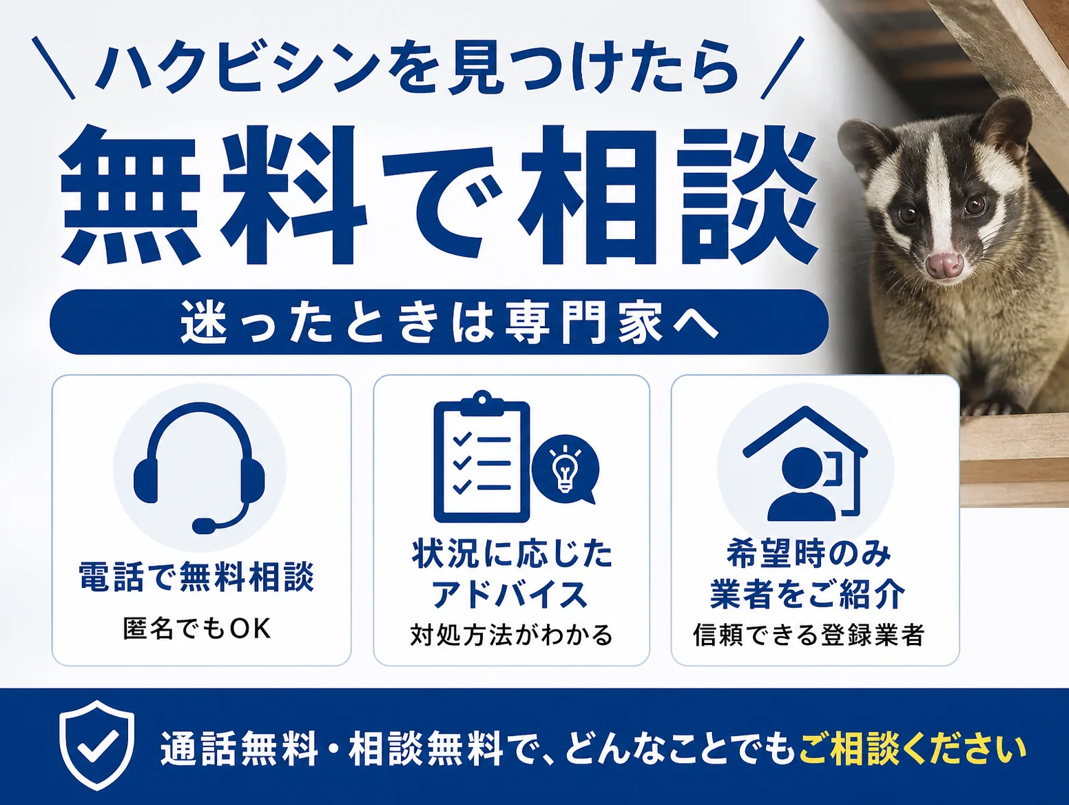 ハクビシンを見つけたら無料で相談と呼びかける案内図、屋根裏の木材にいるハクビシンの写真と、電話で無料相談・匿名OK、状況に応じたアドバイス、希望時のみ業者紹介の3つのアイコン、通話無料・相談無料の帯