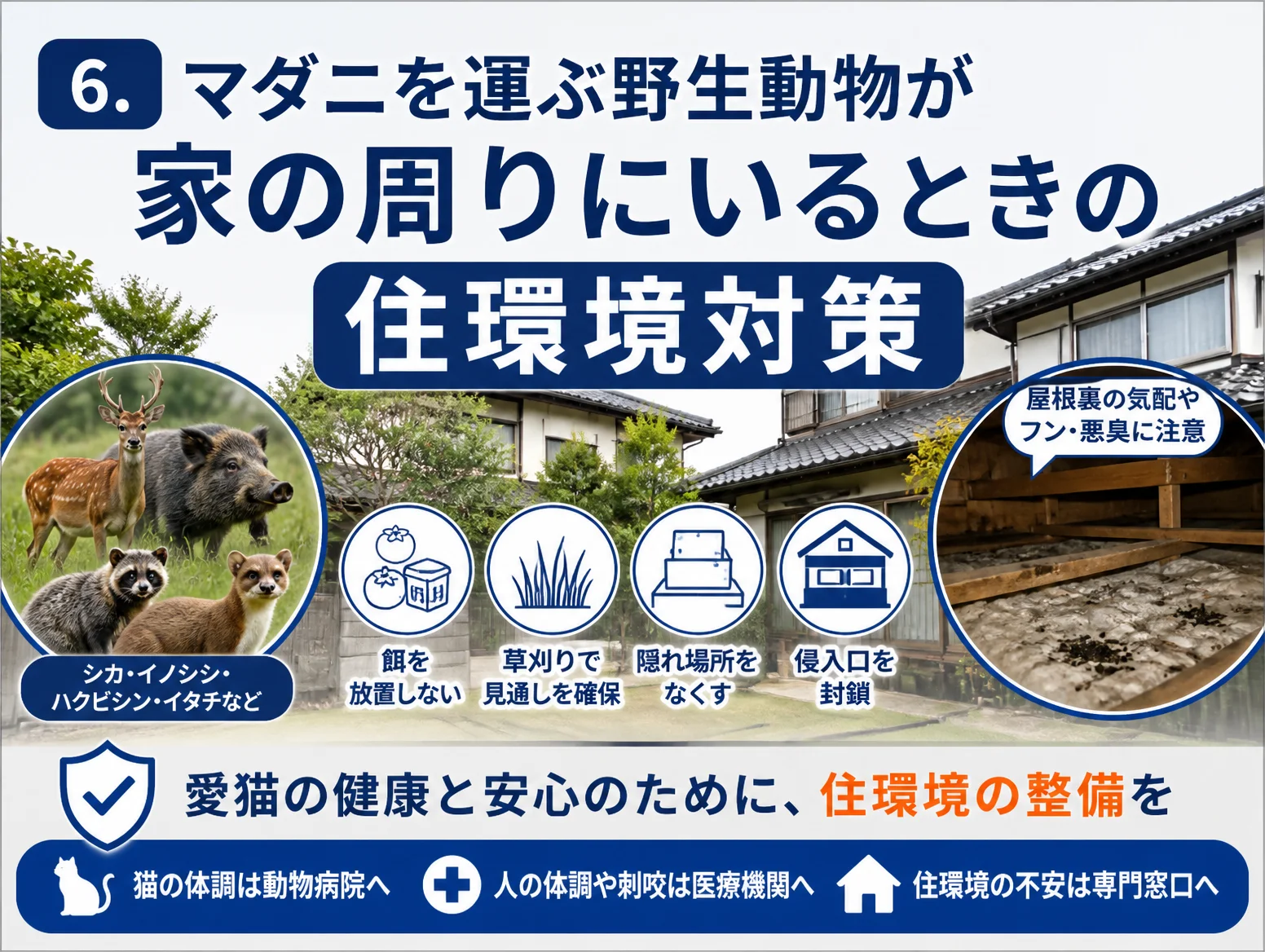 SFTS 猫対策として、シカ・イノシシ・ハクビシン・イタチなどマダニを運ぶ野生動物が家の周りにいる際の住環境対策を示す図で、餌を放置しない、草刈りで見通し確保、隠れ場所をなくす、侵入口封鎖のアイコンと屋根裏のフンの写真を配置