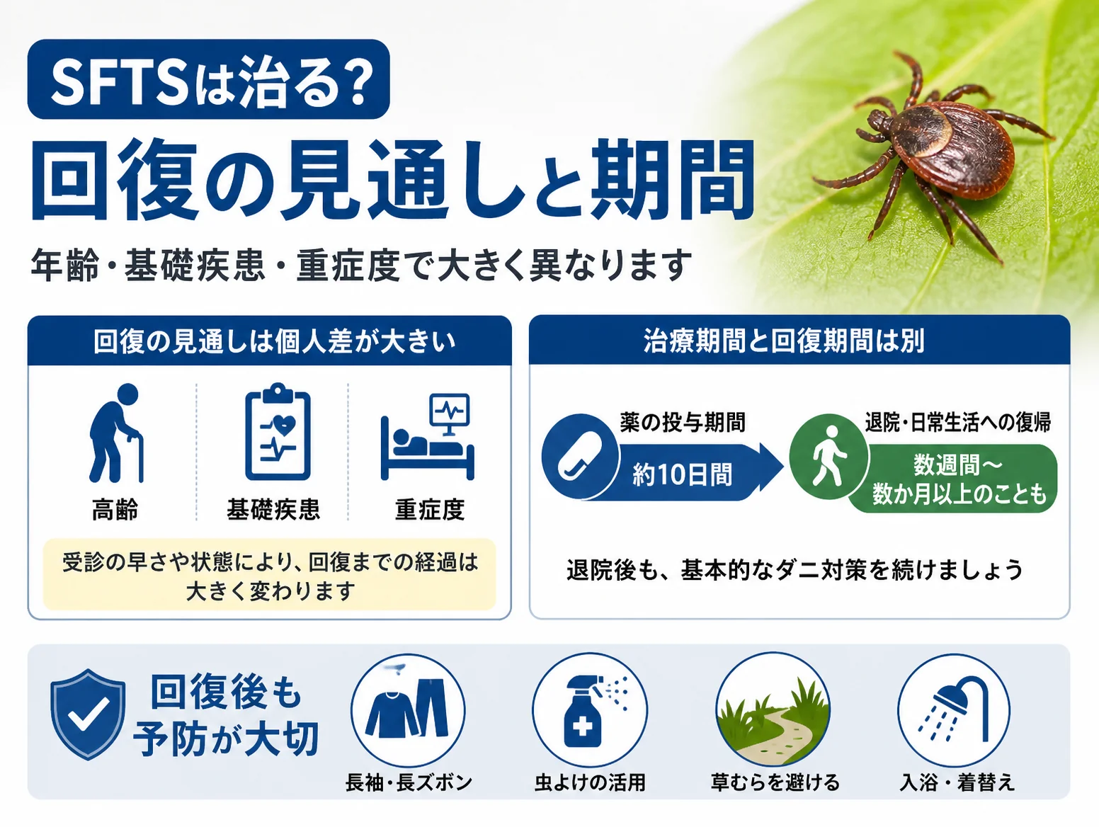 SFTSの回復見通しは高齢・基礎疾患・重症度で個人差が大きいことと、sfts 治療の薬の投与期間約10日間と退院・日常生活への復帰まで数週間〜数か月以上かかることを示す図解、長袖や虫よけなどの予防策とダニの写真付き