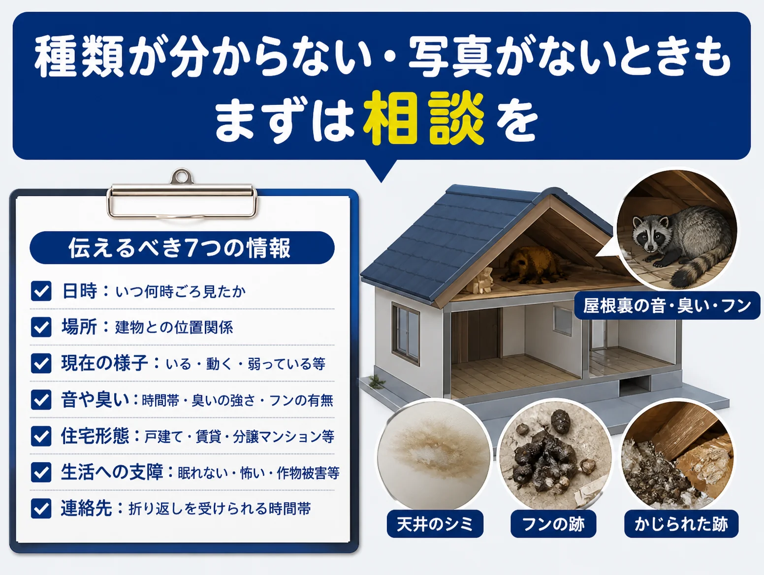 ハクビシンを見つけたら種類不明や写真なしでも相談をと促す図解、日時・場所・様子・音や臭い・住宅形態・生活への支障・連絡先の7項目チェックリストと屋根裏の断面図、天井のシミやフンの跡、かじられた跡の写真