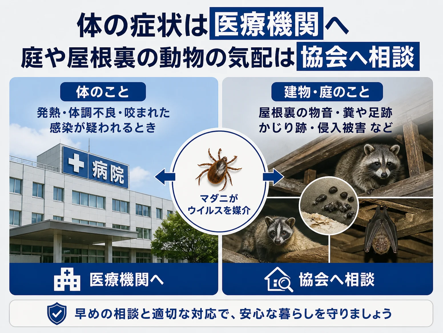 sfts 治療など体の症状は病院へ、屋根裏の物音や糞・足跡など動物の気配は協会へ相談と切り分ける図、中央にウイルスを媒介するマダニ、左に病院の建物、右に屋根裏のアライグマやハクビシン、コウモリ、糞の写真
