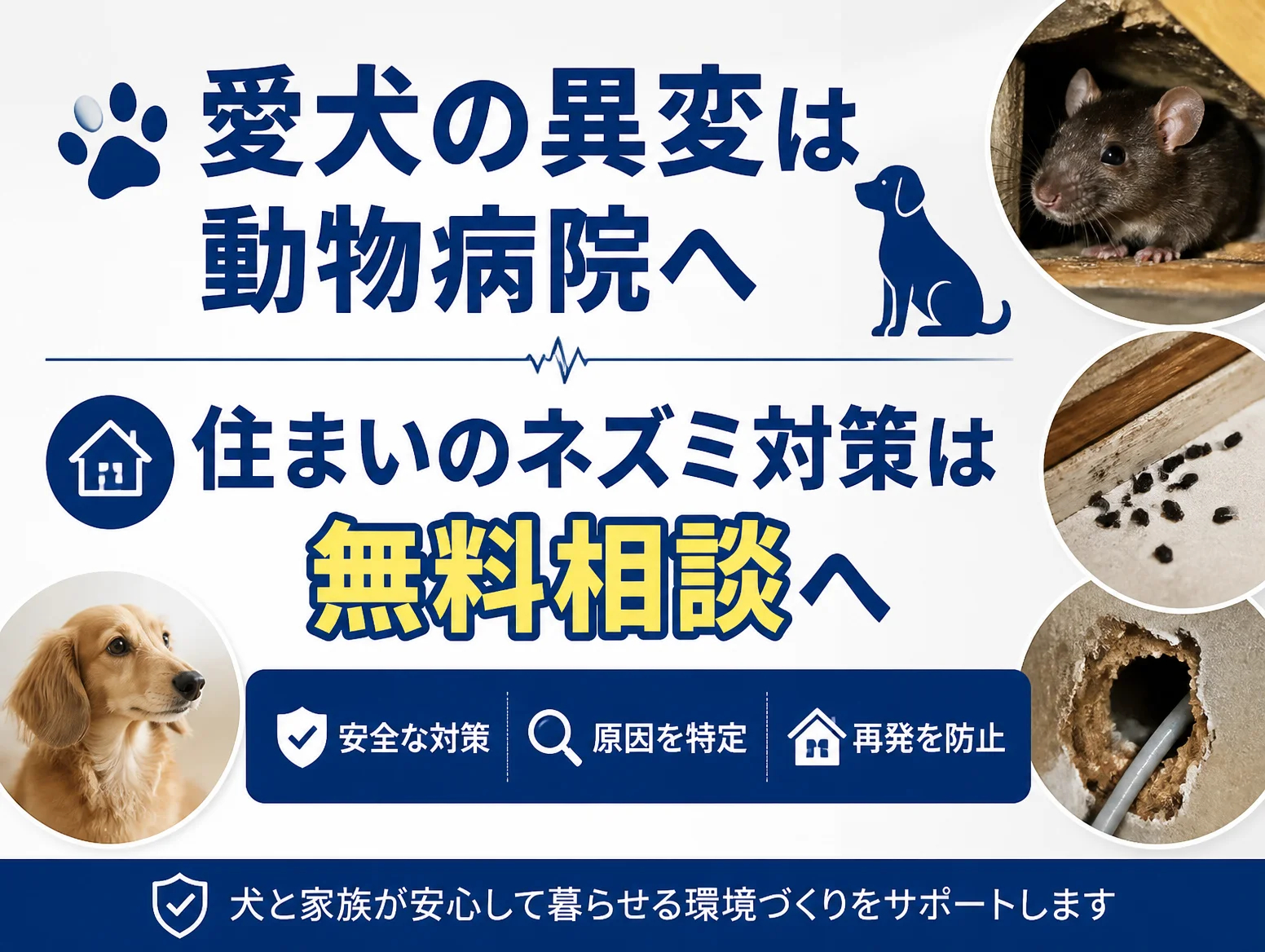 レプトスピラ症の犬対策として、愛犬の異変は動物病院へ、住まいのネズミ対策は無料相談へと案内する図解で、ダックスフンドの写真とネズミ、糞、壁のかじり穴の写真に安全な対策・原因特定・再発防止の項目を配置