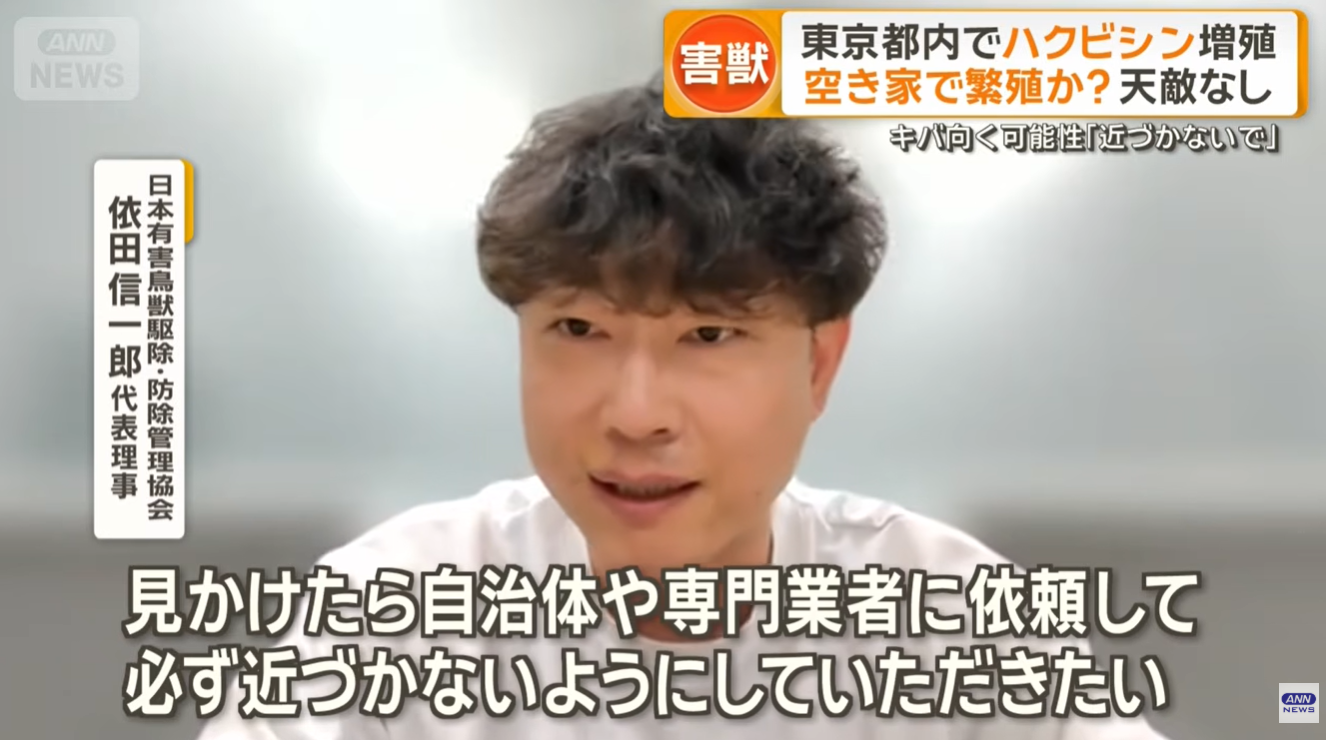 テレビ朝日 グッド!モーニング 依田信一郎代表理事インタビュー